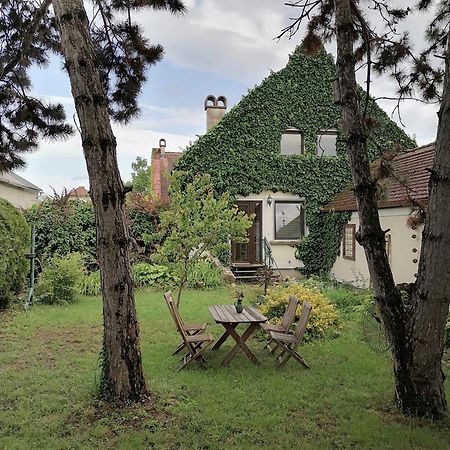 Gartenapartment Storchenblick 维登埃姆斯 外观 照片