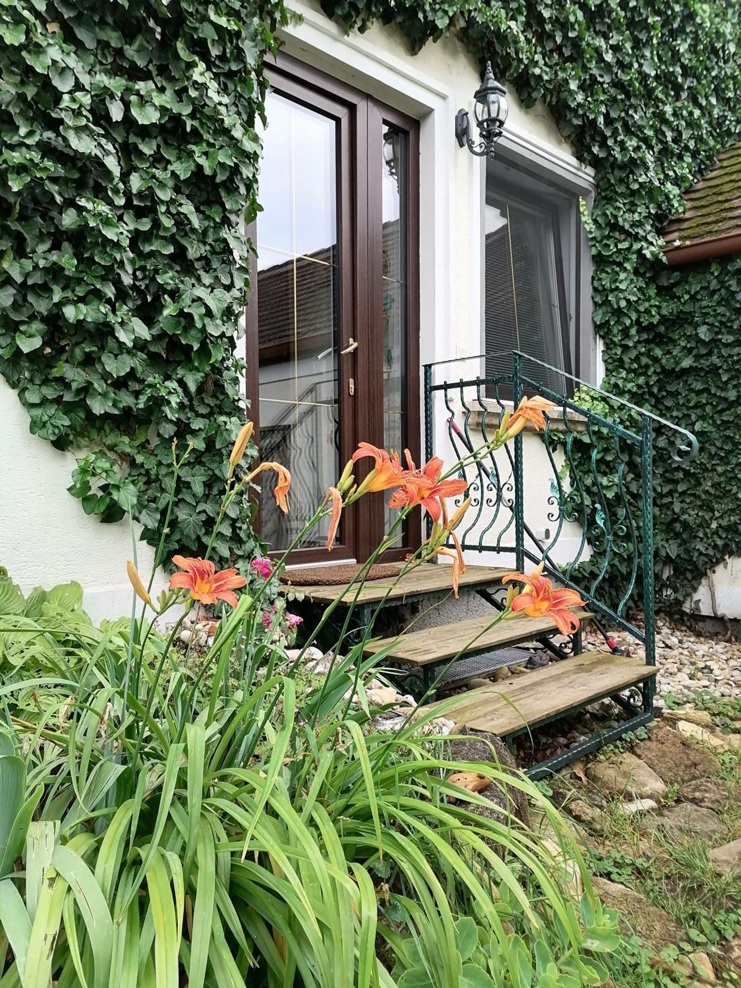 Gartenapartment Storchenblick 维登埃姆斯 外观 照片