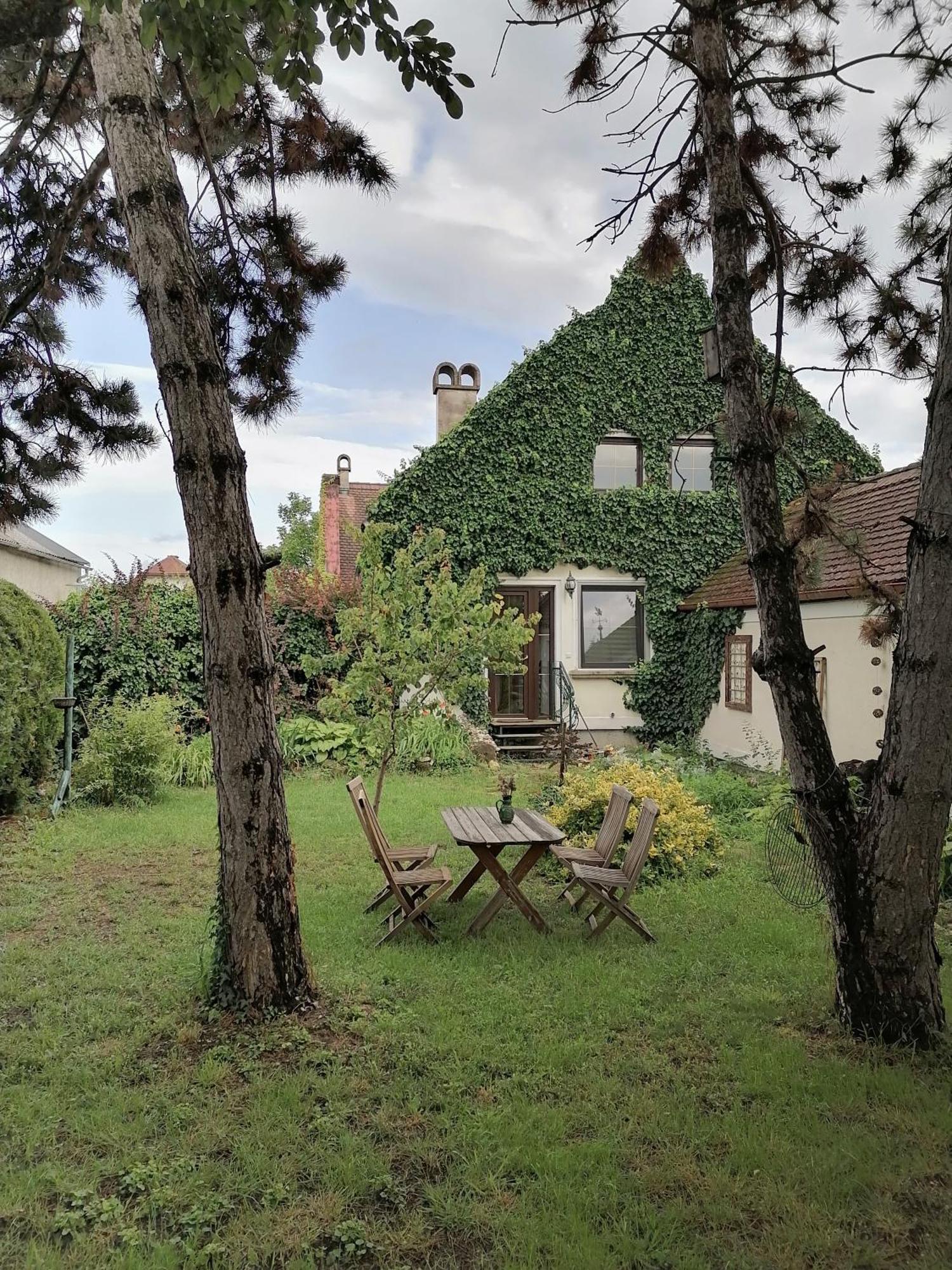 Gartenapartment Storchenblick 维登埃姆斯 外观 照片
